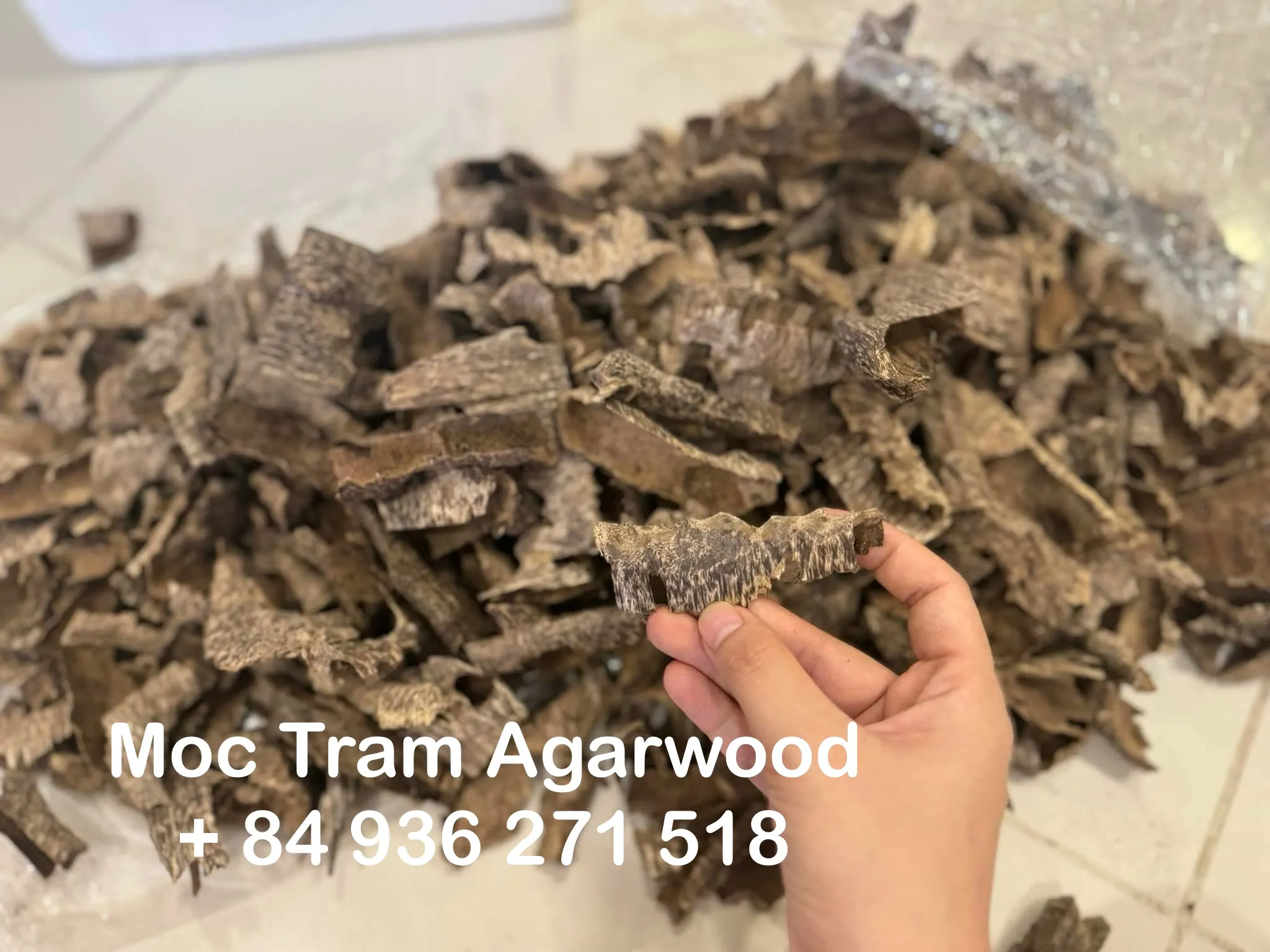 Premium Drilled Agarwood Chips – High-Grade Vietnamese Oud (Plantation Cultivated)